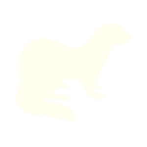 Furetto - Logica, raziocinio, controllo