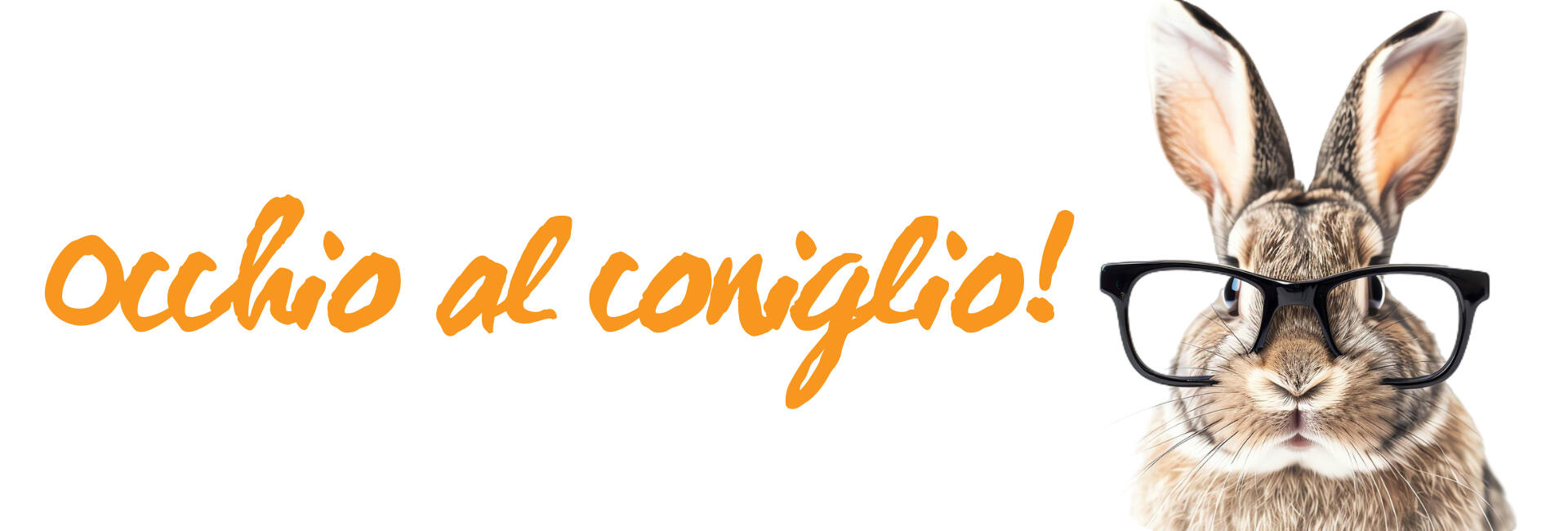occhio al coniglio